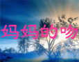 ǣflashă裩
