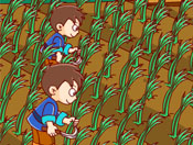 С砵flashͯ